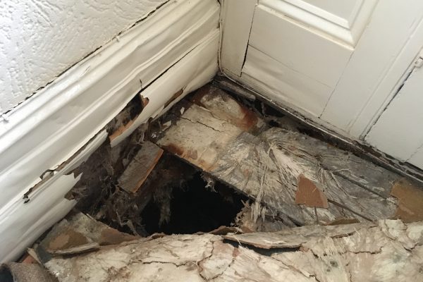 Dry rot within communal entrance hallway